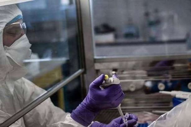 فيروس كورونا