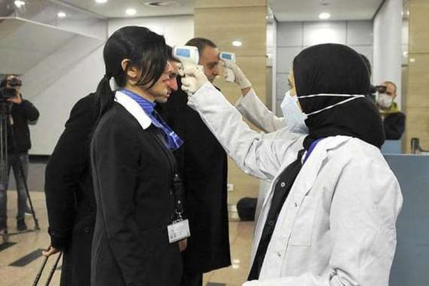 كورونا في مصر