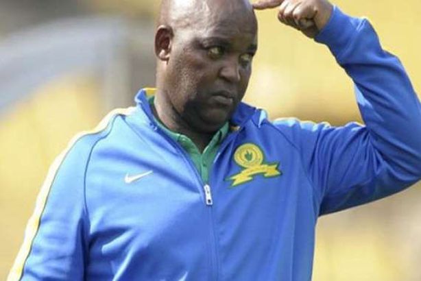 مدرب صن داونز