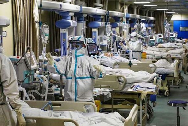 كورونا في الولايات المتحدة 
