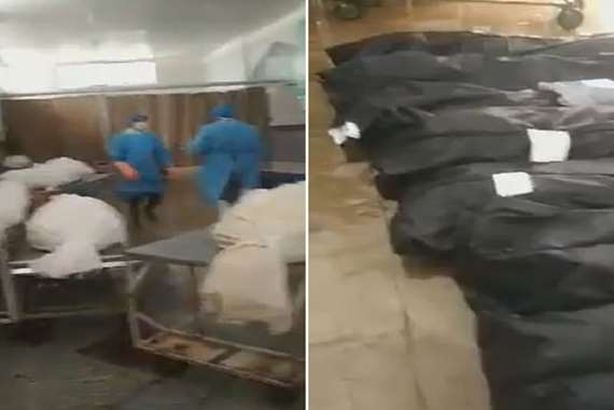 ضحايا كورونا بإيران أرشيفية