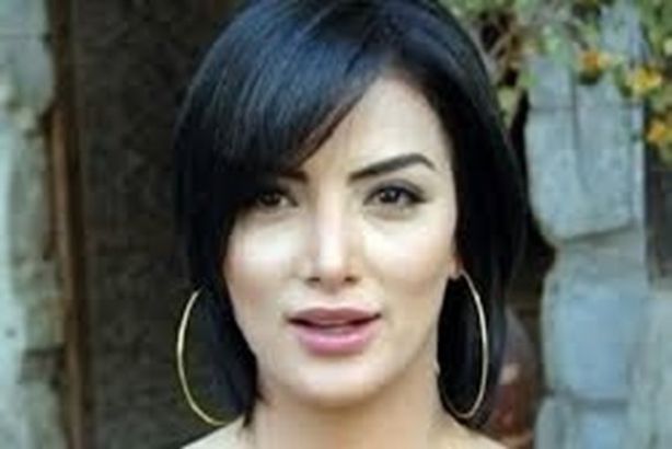 حورية فرغلى