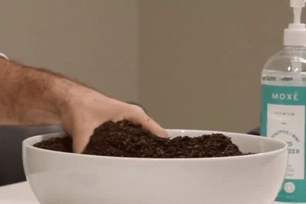 رجل أعمال يحول جثث الموتى إلى سماد