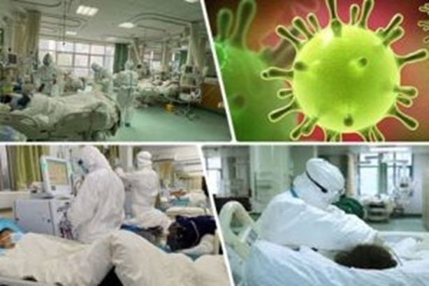 كورونا في الإمارات