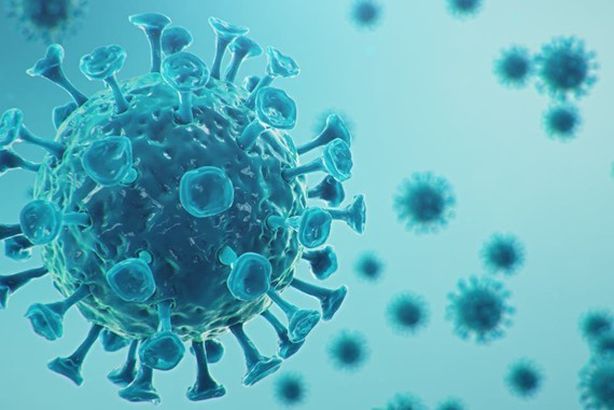 154808347_2520480994927797_8218108227459510527_n