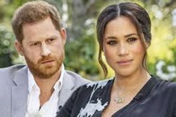 الأمير هاري وميجان 
