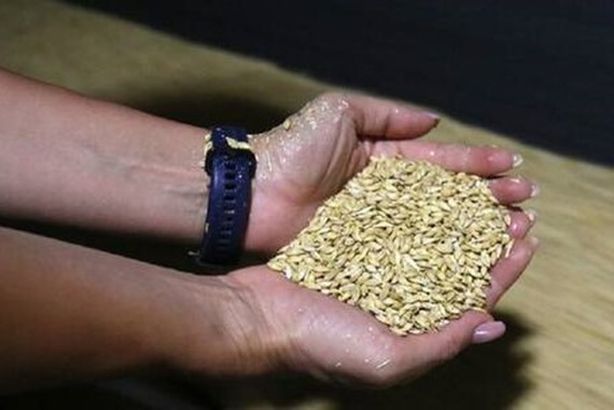 622c6e31423604558c3dd488