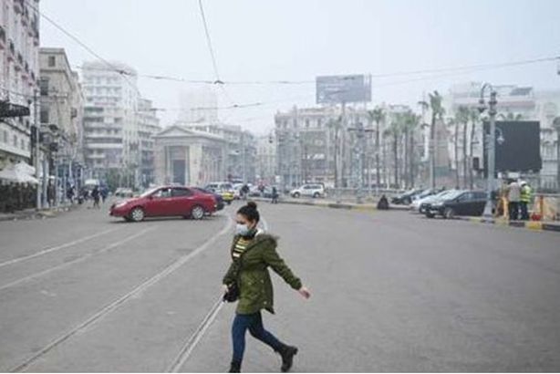 20193477091612259174