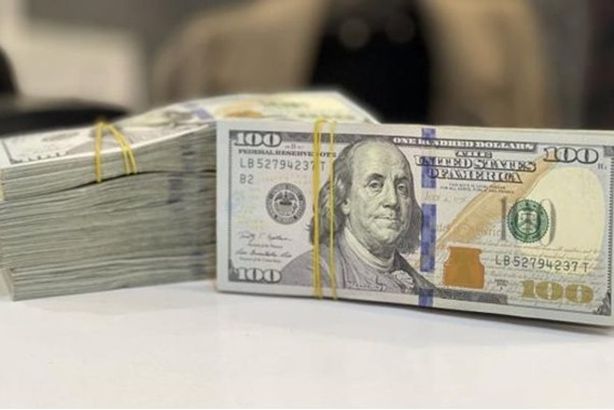 62-105745-today-s-dollar-price-in-egypt-monday-march-17-2025_700x400