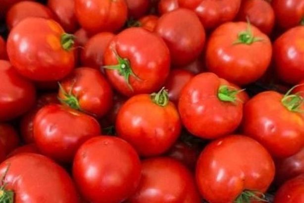 6241674701884202502050235443544