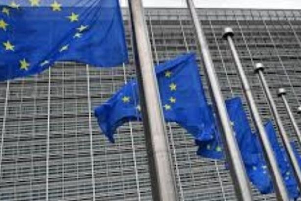 8351016650636202602110225162516