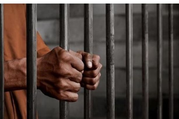 714558021120260302065106516