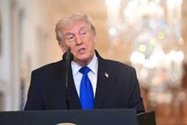 57528248704520260228100711711