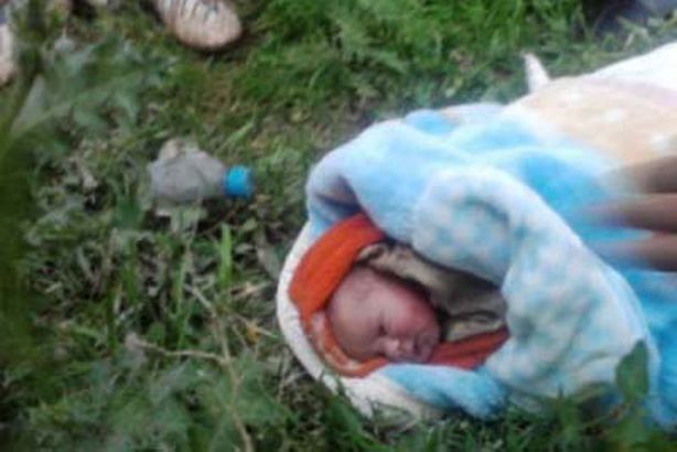 العثور على رضيع بزراعات القصب بقوص