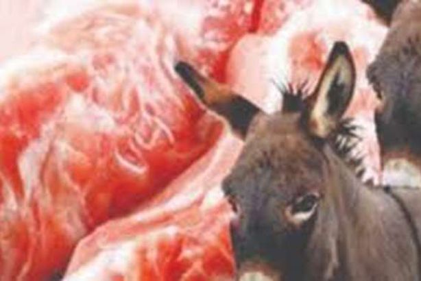 3 محلات لبيع لحم الحمير بالمعصرة
