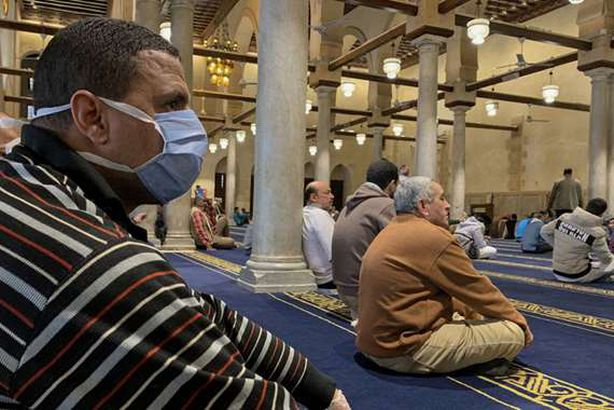 كورونا في مصر