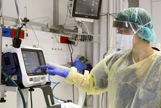 كورونا في نيويورك