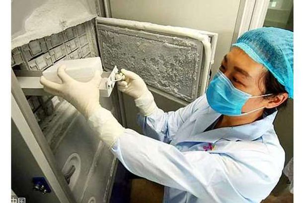 طريقة حفظ الفيروسات بمختبر ووهان