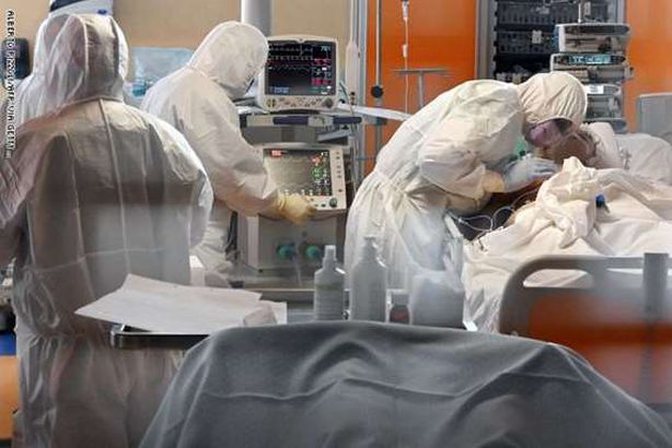 وفيات كورونا