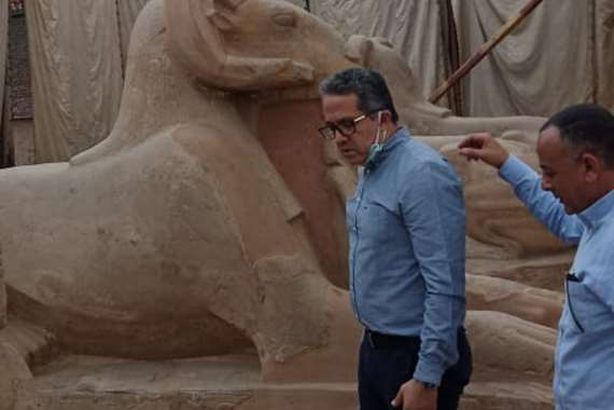 العناني يتفقد " الكباش الأربعة" 
