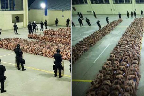 مقطع من الفيديو