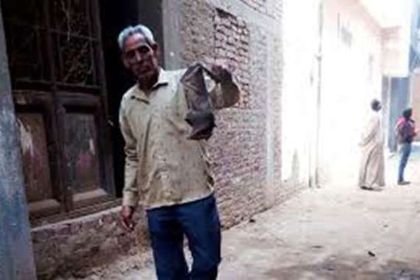 خفافيش القناطر من "آكلة الفواكه" ولا علاقة لها بكورونا