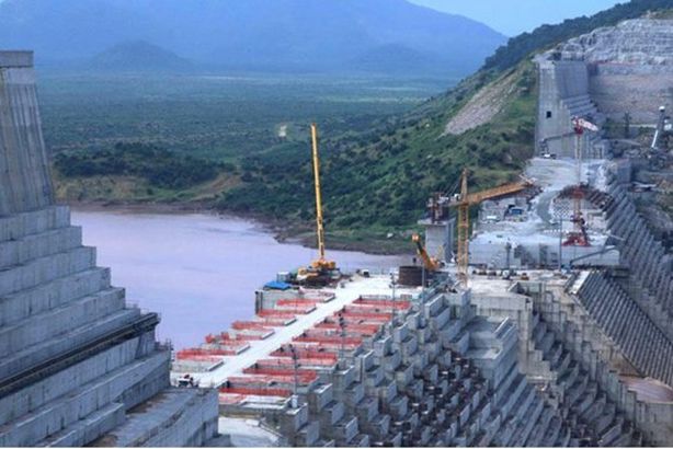 c3e15b10-a31e-446b-891a-54c5f44dd069