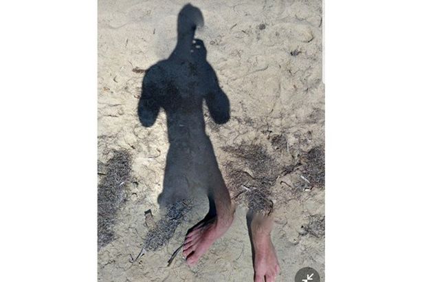 8433d4cf-e6b9-42cd-9bf0-35fe38ebe386