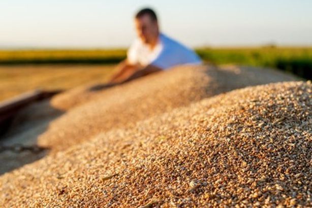 thumbnail-tw-20190724190540-7102