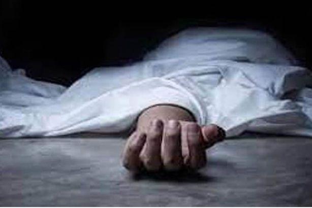 6e9d4c87-dec2-4073-bb88-efc49f56009b