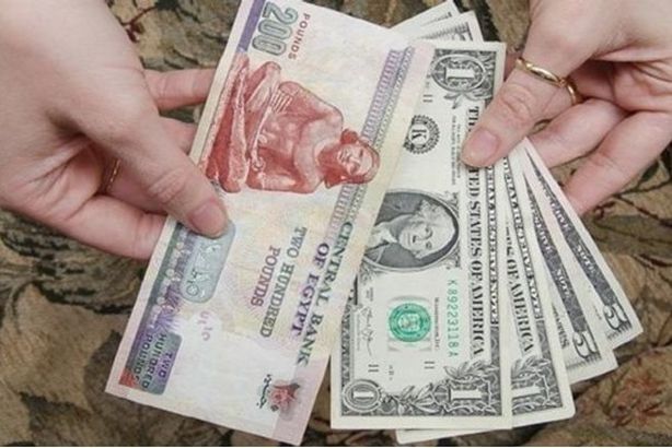 62-091850-dollar-to-egp-rate-today-monday-29-april-2024_700x400