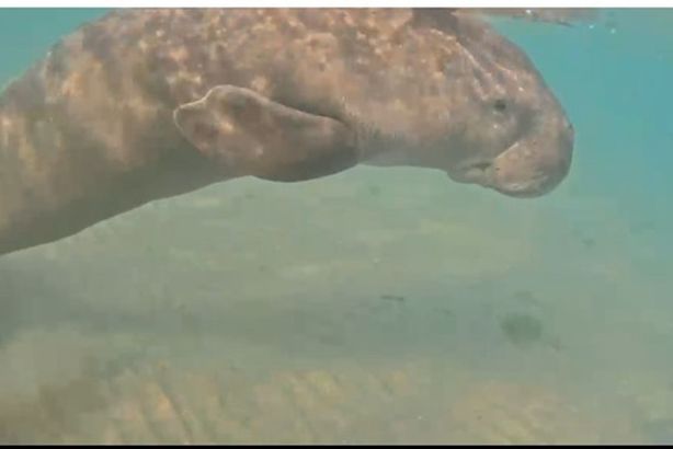 675645885_1374751464_770_013259