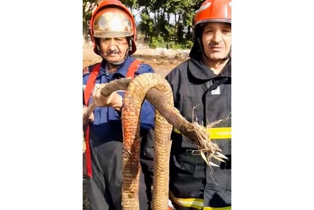 IMG-20260427-WA0106_715_114015