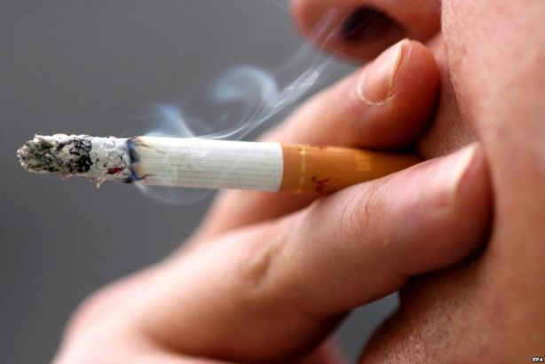 التدخين يحصد أرواح 5.5 مليون شخص سنويًا