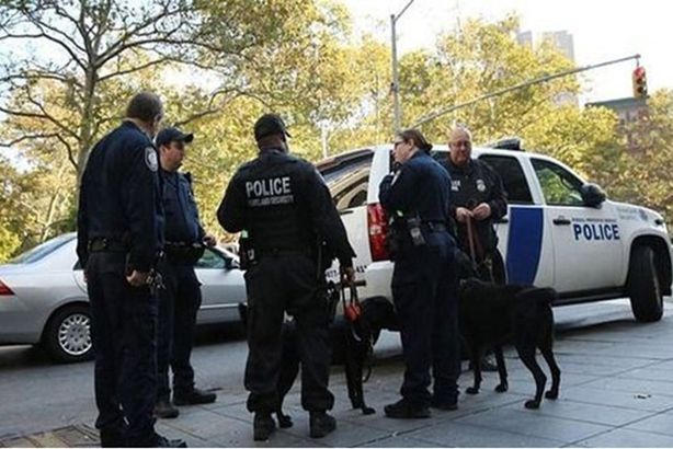 الشرطة الأمريكية تقتل سيدة في واشنطن