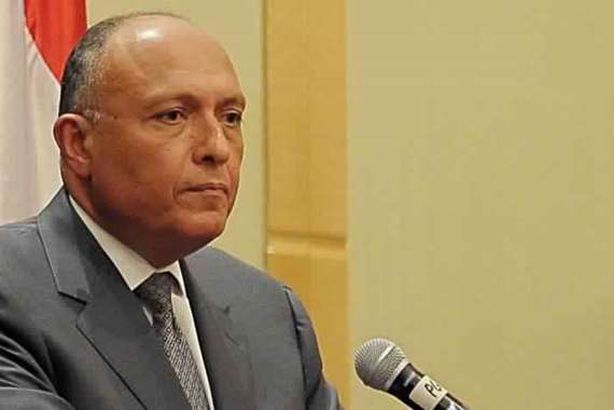 وزير الخارجية سامح شكري