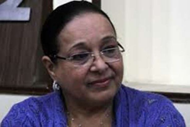 أنيسة حسونة عضو مجلس النواب