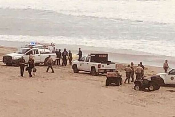 «سمكة قرش» تقتل شابًا كسر حظر كورونا