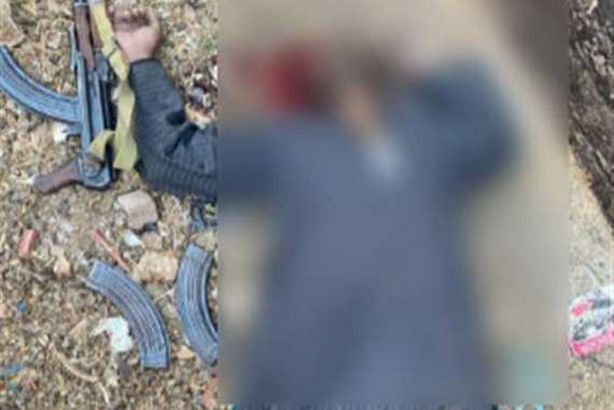 زعيم العصابة