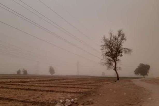 سوهاج اليوم