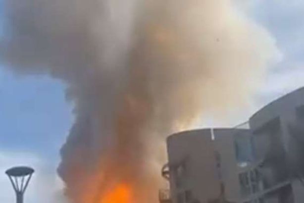 مقطع من الفيديو