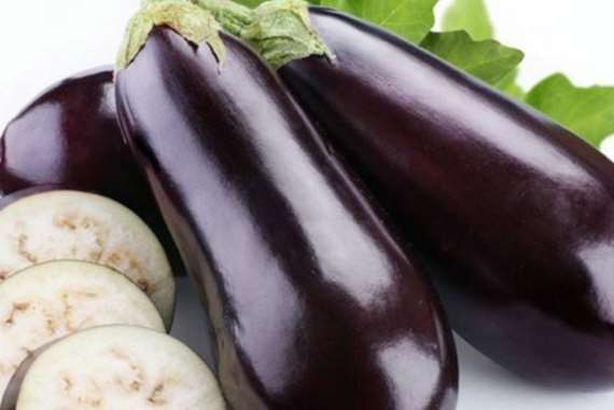 الباذنجان الأسود