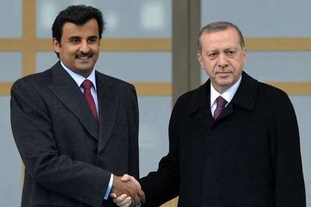 أردوغان و تميم