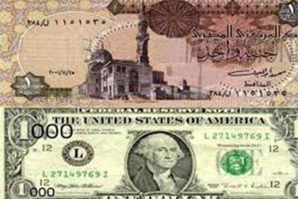 استقرار الدولار أمام الجنيه في التعاملات  الصباحية