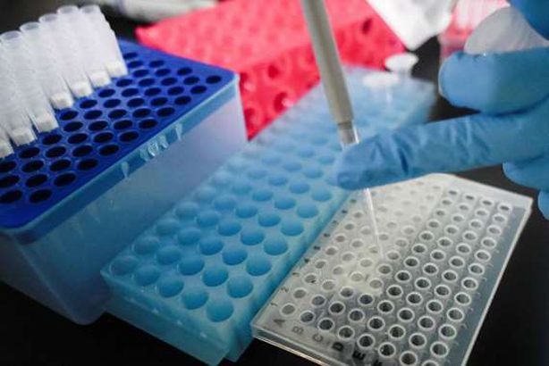 شركة "سينوفاك" ولقاح كورونا