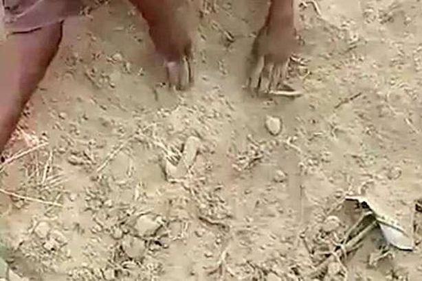 صور من الفيديو