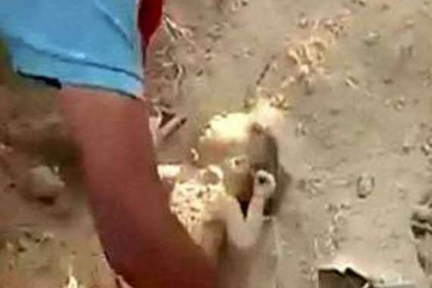 مقطع من الفيديو