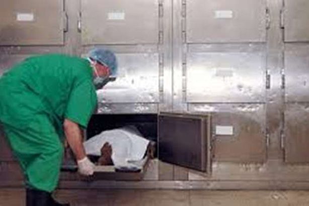 تخفي جثة جدتها في ثلاجة لمدة 16 عاما