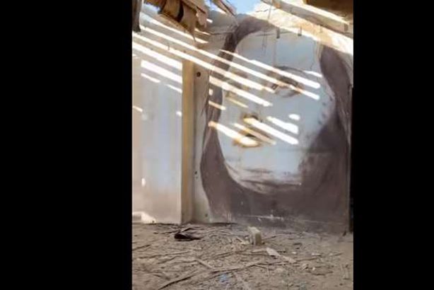 منزل مهجور يتزين بصور سيدات بالسعودية