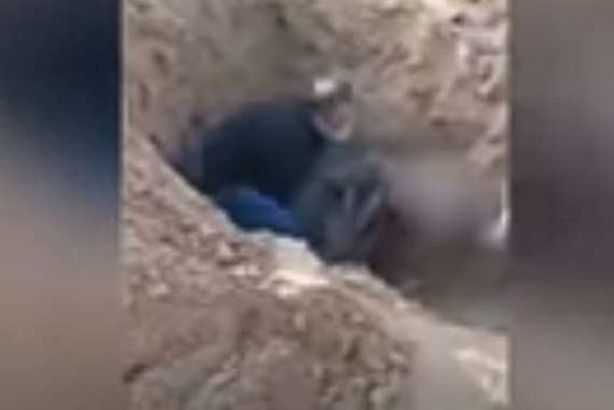 جانب من الفيديو